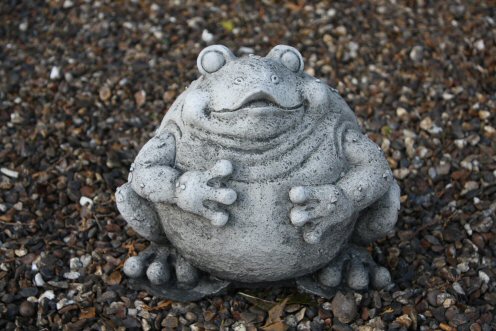 KA220 Jolly Bull Frog